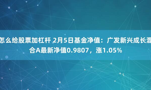 怎么给股票加杠杆 2月5日基金净值:广发新兴成长混合A最新净值0.9807,涨1.05%
