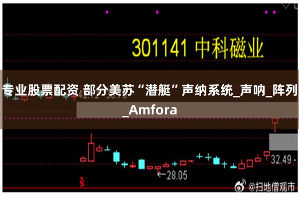 专业股票配资 部分美苏“潜艇”声纳系统_声呐_阵列_Amfora