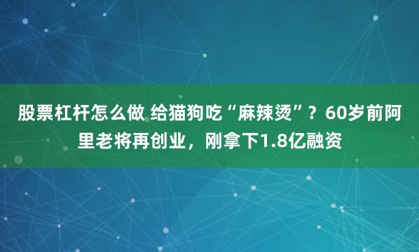 股票杠杆怎么做 给猫狗吃“麻辣烫”?60岁前阿里老将再创业,刚拿下1.8亿融资