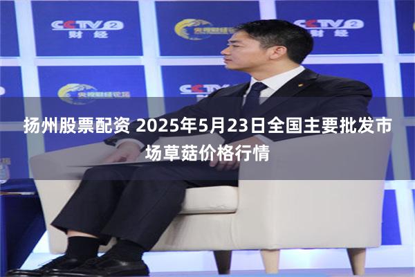 扬州股票配资 2025年5月23日全国主要批发市场草菇价格行情